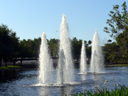 冠動脈バイパス術に心室再建術を併用してもベネフィットはない