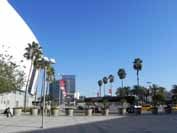 院外心停止患者の自己心拍再開後の低体温療法（目標32℃）で6カ月後の転帰が改善