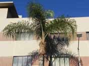 複合ビタミンを毎日服用しても50歳以上男性の心血管リスクは減少せず（The Physicians' Health StudyⅡ）