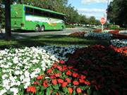 新しく開発された定常流型補助人工心臓で重症心不全患者の生存率が大幅に改善