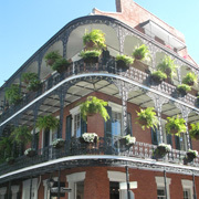 ビタミンC・ビタミンEサプリメントに心血管病の予防効果は認められない