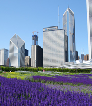 Everolimusは既存の分子標的薬に無効となった転移性腎細胞癌患者の治療薬として有望（RECORD-1試験）