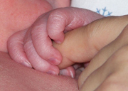 食事が赤ちゃんの性別を左右